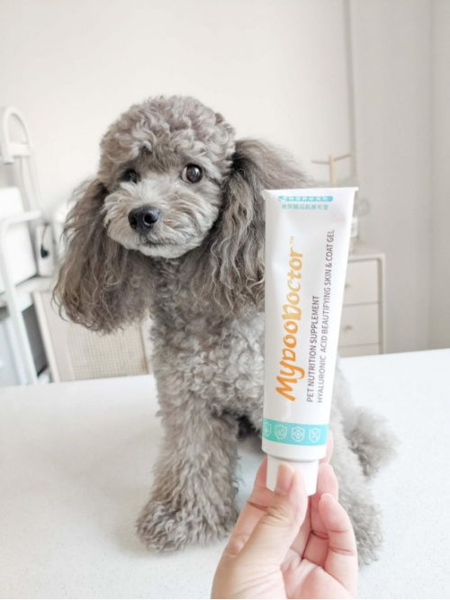 麦都小蓝管美毛膏 科学喂养，让爱犬毛发容光焕发的秘诀
