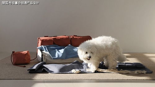 嘉合优品说设计 为宠物个性量身订制的专属狗舍