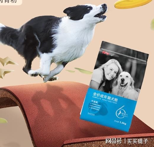 边牧喂养指南 科学食量、肠胃友好狗粮选择与贴心服务